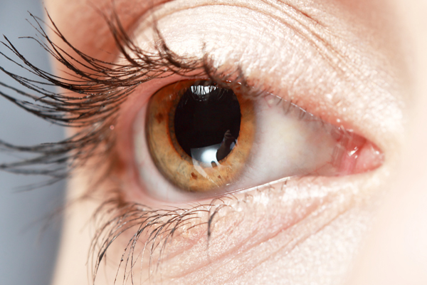 close-up of hazel eye