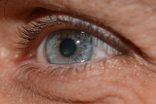 Close-up of older eye