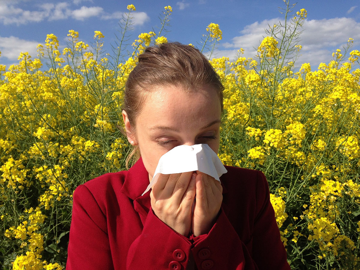 eye health tips hay fever